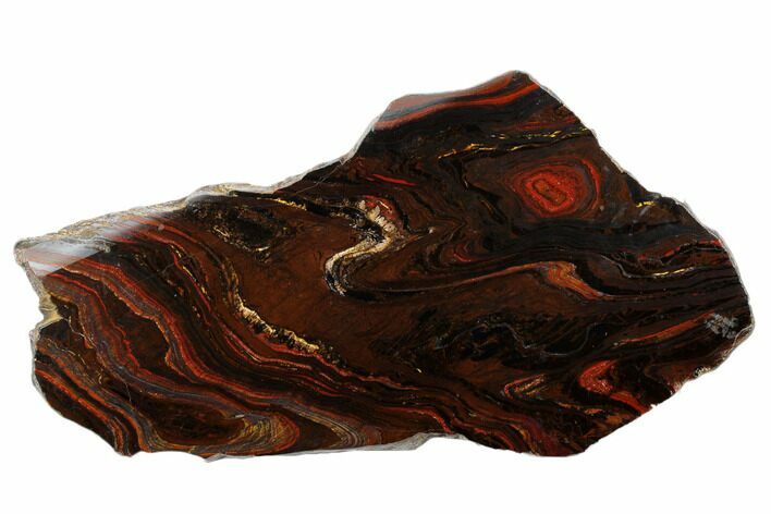 Polished Tiger Iron Stromatolite Slab - Billion Years #185952